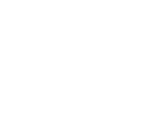 Boaz Studio