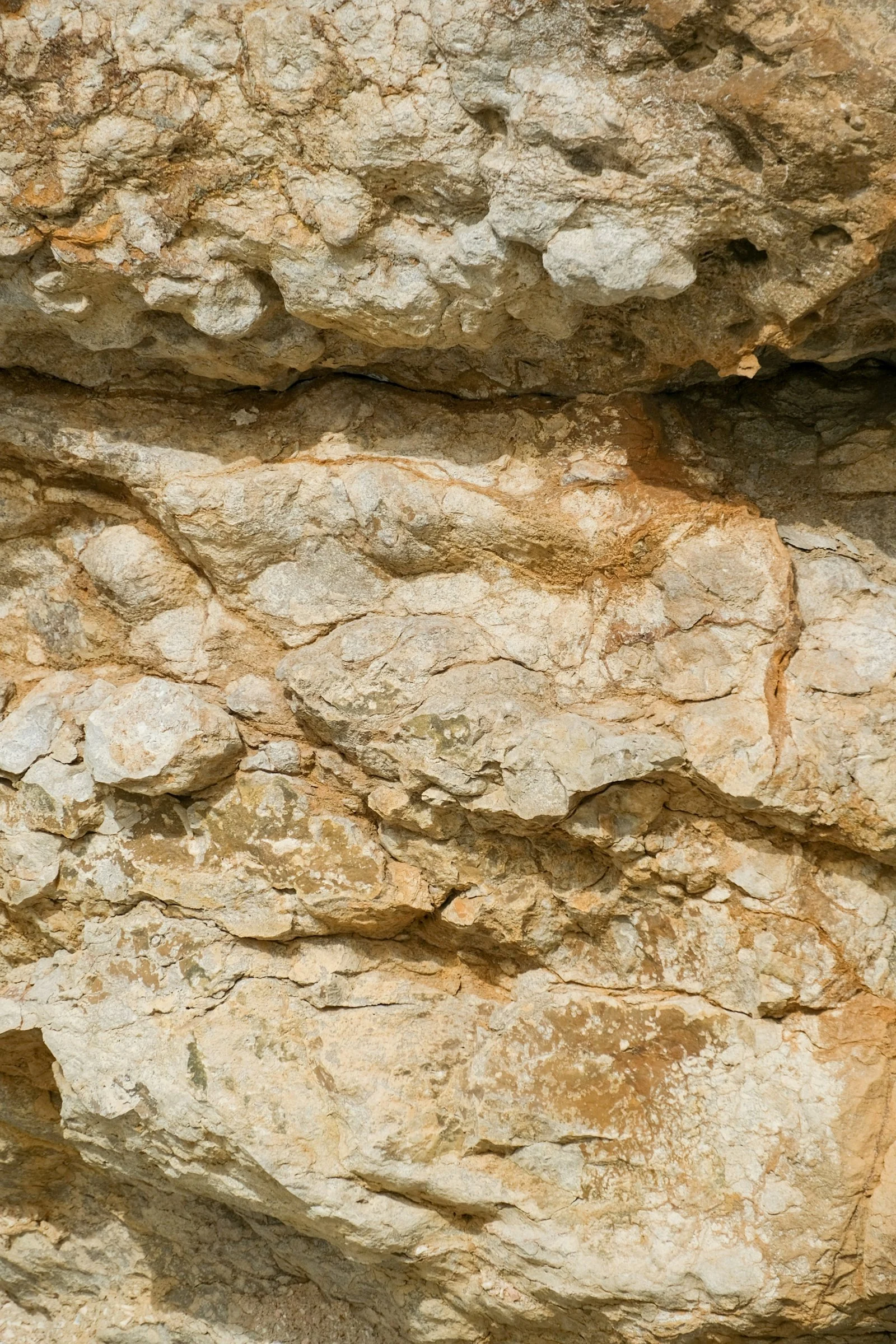 Close-up of weathered pale rock