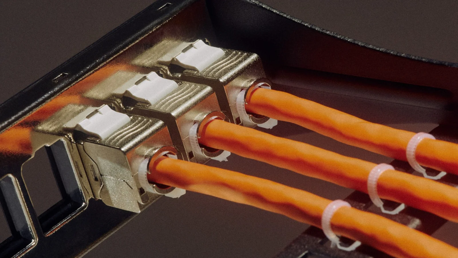Close-up of orange cables plugged into a network switch