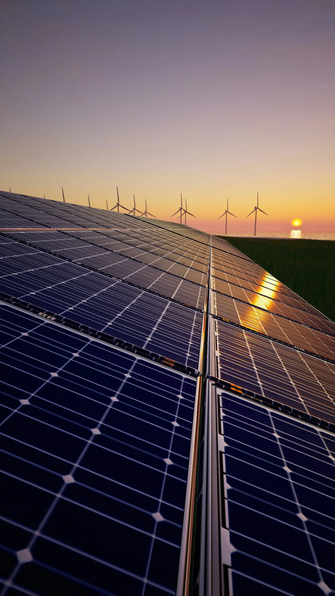 Rows of solar panels at sunset